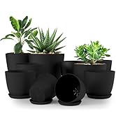 Utopia Home Lot de 10 Pots de Fleurs 18/17/15/13/12 cm Plantpot avec Soucoupe pour la Cuisine, Le...
