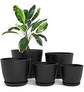 Utopia Home Lot de 5 Pots de Fleurs 18/17/15/13/12 cm Plantpot avec Soucoupe pour la Cuisine, Le ...