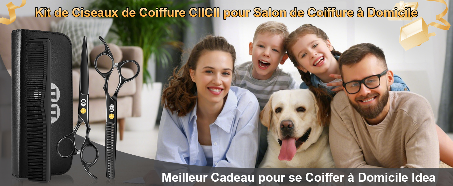 CIICII Ciseaux Coiffure