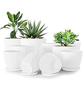 Utopia Home Lot de 10 Pots de Fleurs 18/17/15/13/12 cm Plantpot avec Soucoupe pour la Cuisine, Le...