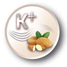 seche cheveux, seche cheveux voyage,compact,remington,pliable,babyliss,ghd,philips,calor