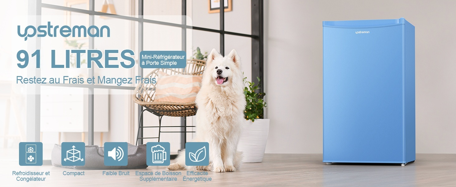 de 91 litres doté de caractéristiques écoénergétiques. L'image montre le produit aux côtés d'un chien, mettant l'accent sur sa taille compacte et son utilisation à la maison. Les icônes indiquent un faible niveau sonore, une température réglable et un compartiment congélateur.