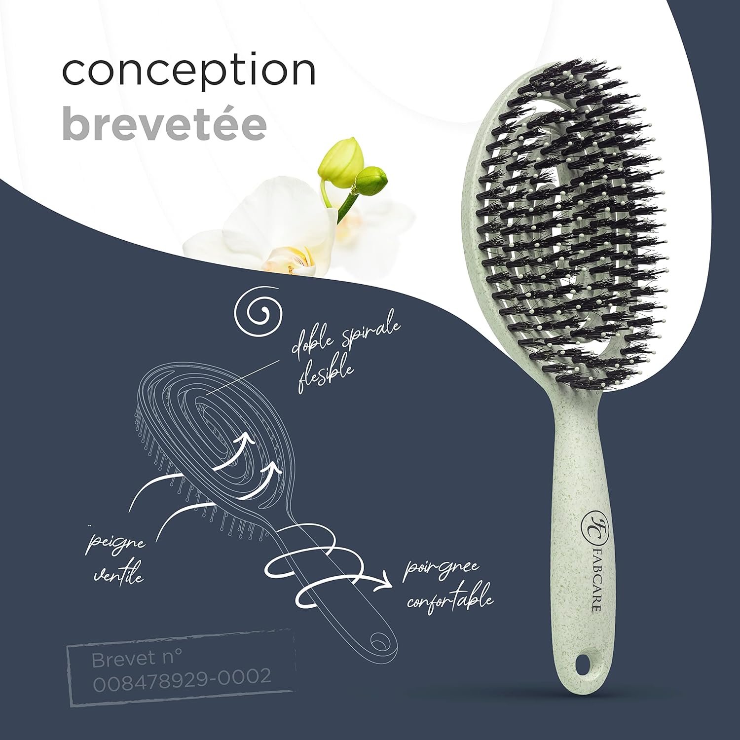 FABCARE - Brosse sanglier double ressort - verte - démêlage sans douleur