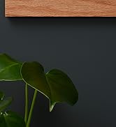 une étagère en bois avec une plante dessus contre un mur sombre