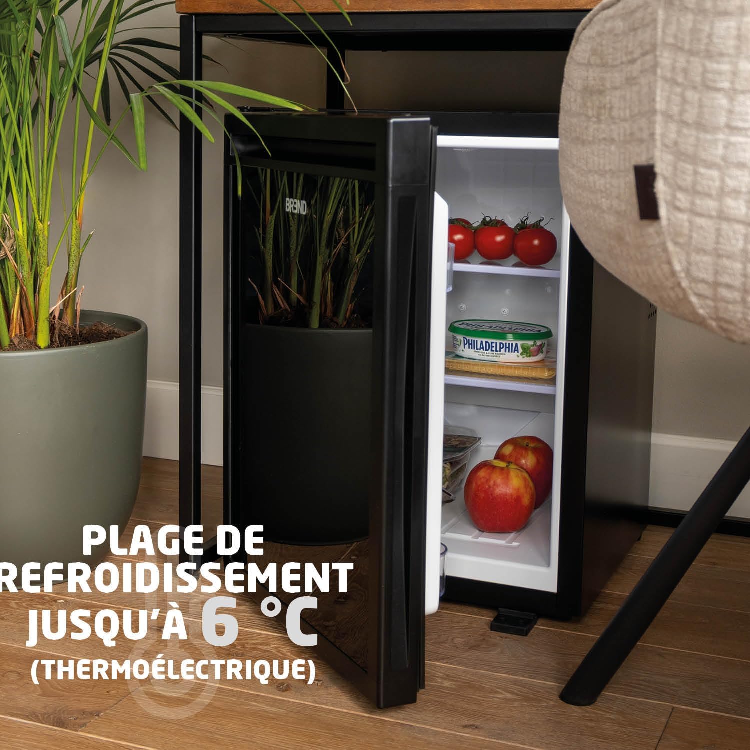 BREND - mini réfrigérateur 30L, porte réversible, table-top, BR-2225