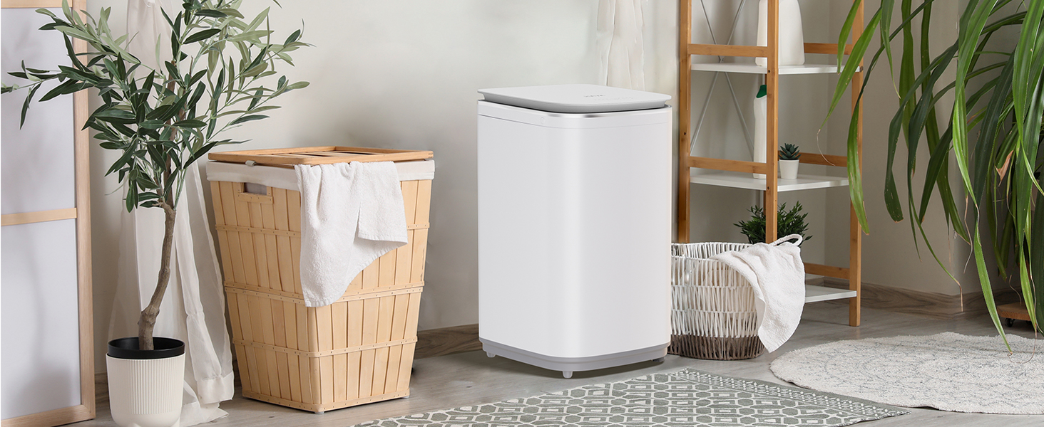 Des jardinières blanches en céramique ou en pierre de différentes tailles disposées le long d'un mur, contenant des plantes d'intérieur éclairées par la lumière naturelle.