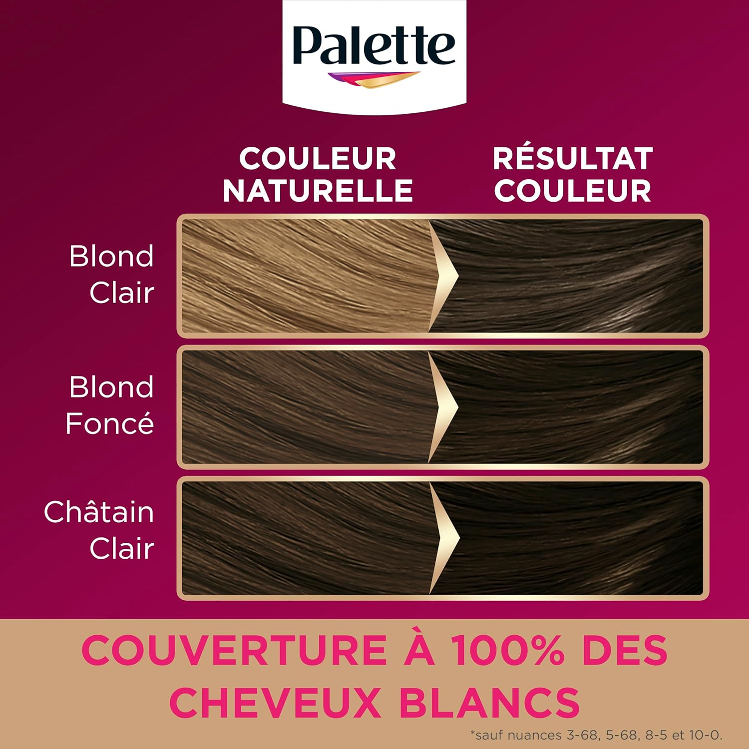 Palette - Intensive Coloration Permanente Cheveux soin, tenue 8 semaines, Blond Foncé 500