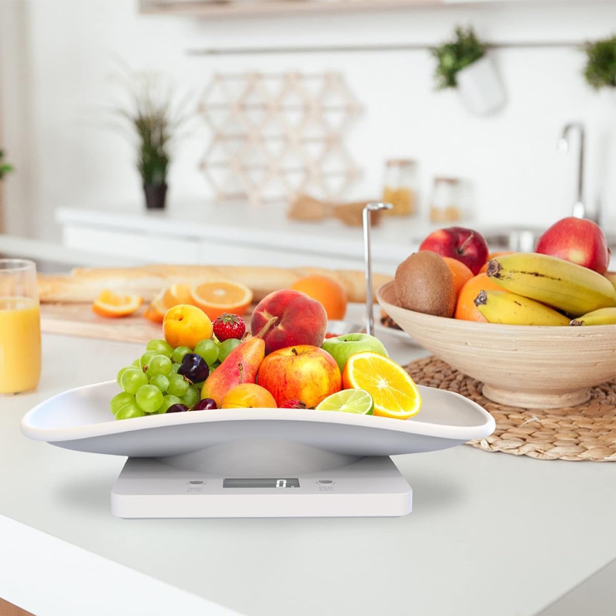 Balance pour animaux - électronique - jusqu'à 10kg - pesée précise