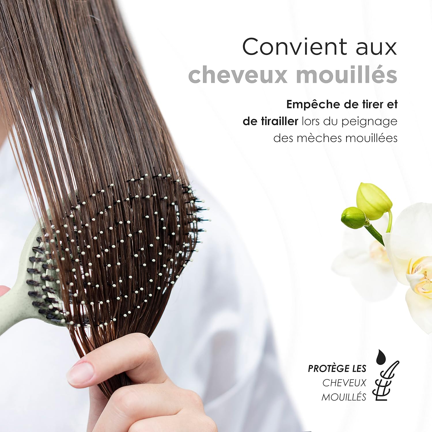 FABCARE - Brosse sanglier double ressort - verte - démêlage sans douleur