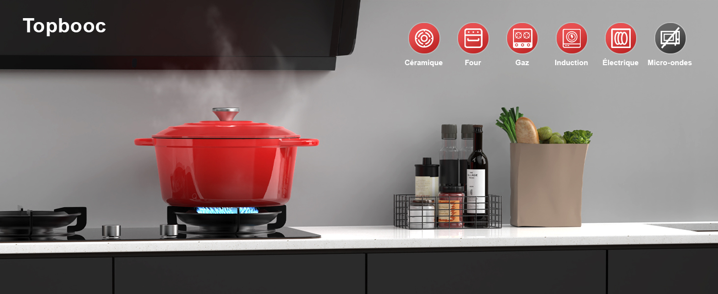 Le texte indique « Topbooc » dans l'en-tête de l'interface. Capture d'écran montrant plusieurs icônes rouges sur fond sombre dans ce qui semble être l'interface d'un logiciel ou d'une application.