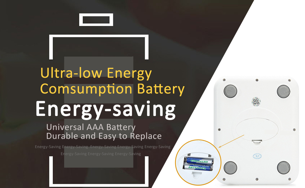 balance alimentaire professionnelle