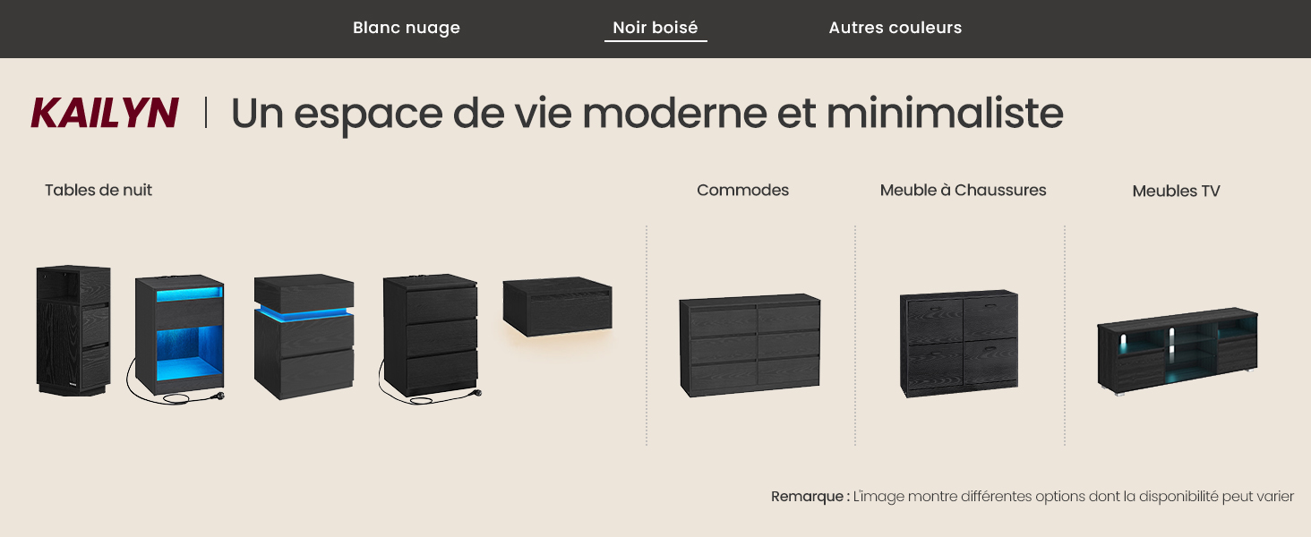 Le texte se lit comme suit : « KAOLYA ». Gamme de présentoirs de produits présentant plusieurs appareils ou composants rectangulaires noirs disposés en rangée.