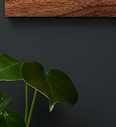 un cadre en bois surmonté d'une plante.