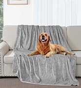 Housse de meuble ou couverture grise drapée sur un canapé avec un Golden Retriever posé dessus