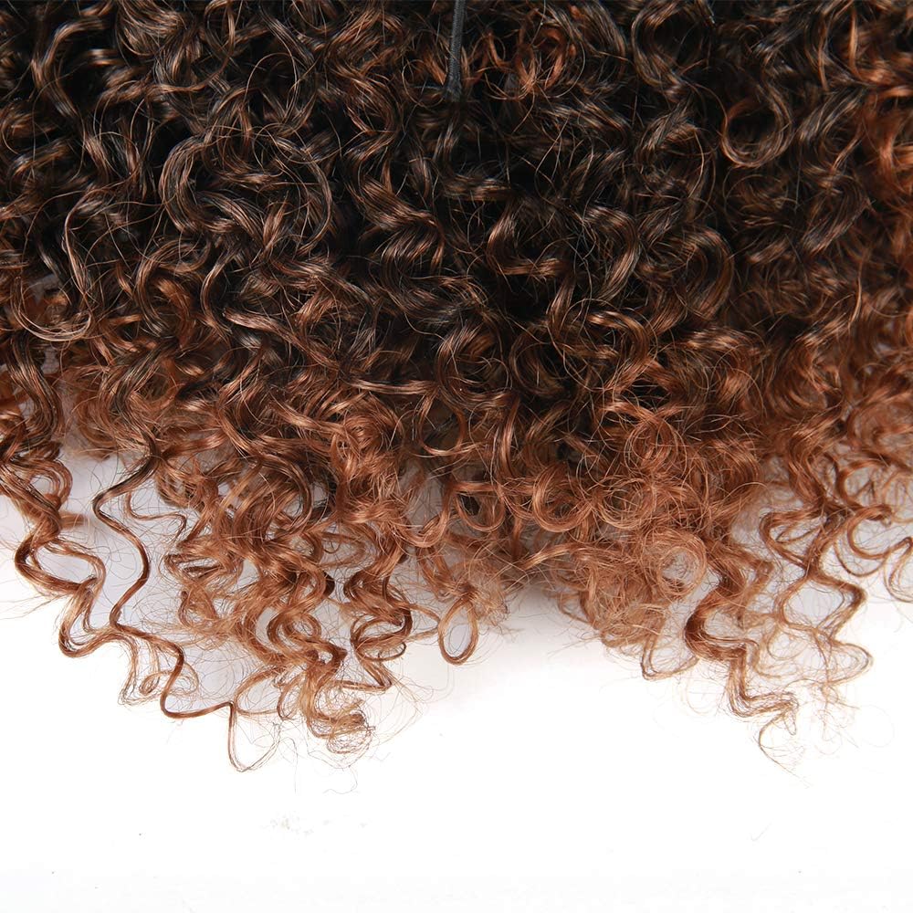 Extension de queue de cheval - bouclée afro-américaine - 12 pouces - couleur 1B/30