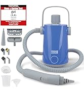 LEBENLANG Nettoyeur à vapeur électrique manuel 1000 W & 300 ml + 10 accessoires