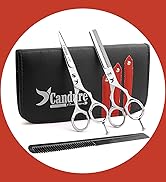 Ensemble de ciseaux de salon