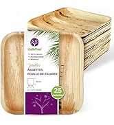 GoBeTree Assiettes Jetables en Feuille de Palmier, 25 Assiettes carrées de 25 cm pour Barbecues, ...