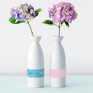 deux vases avec des fleurs sur une table.