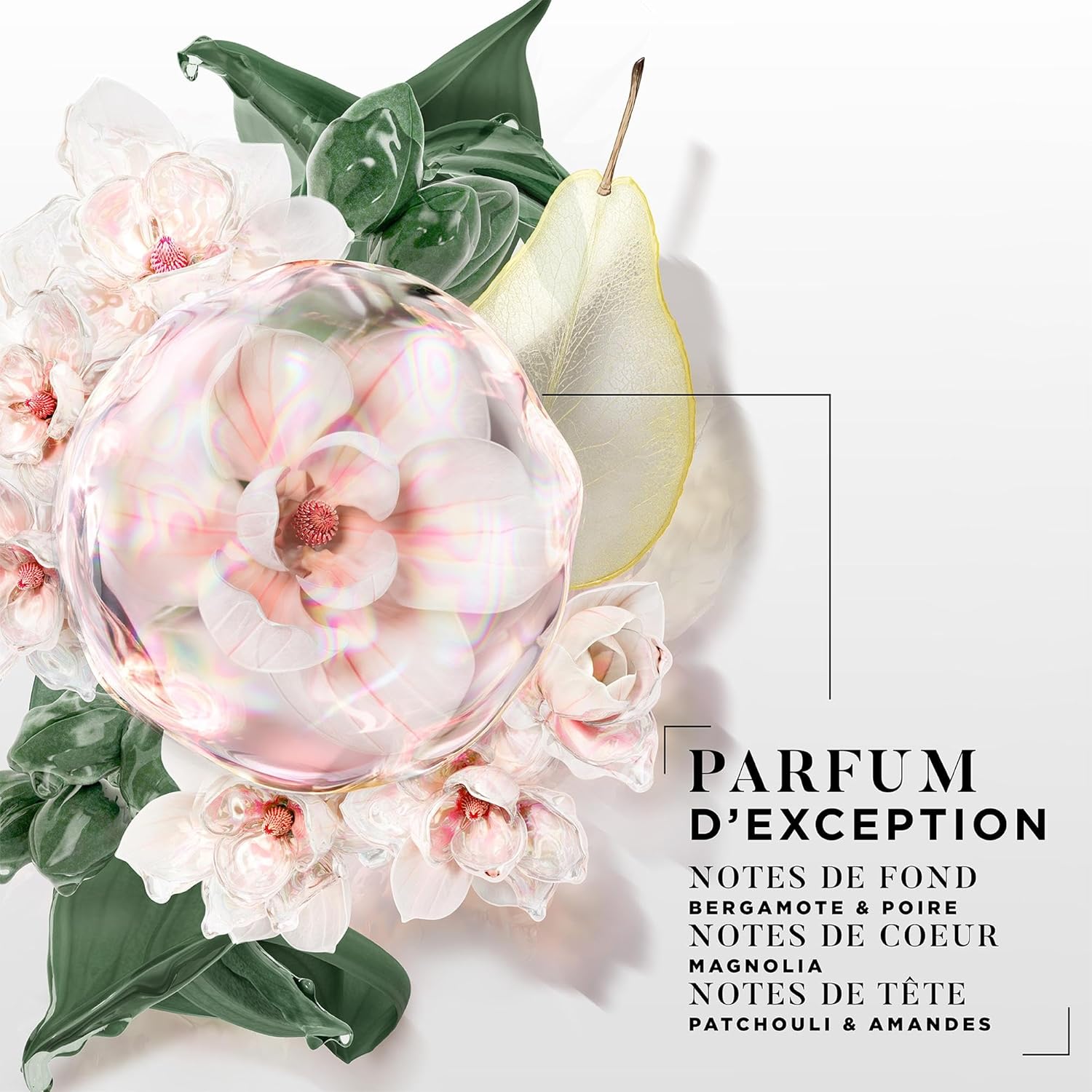 DESSANGE - Hydra Brush - 2x280ml - shampoing hydratant & protecteur cheveux chauffés