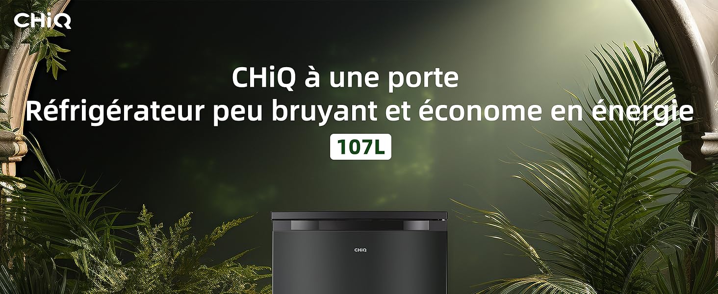 Réfrigérateur compact de couleur foncée entouré de plantes. Le texte indique qu'il s'agit d'un modèle monoporte silencieux et économe en énergie de 107 L