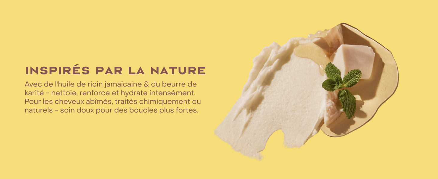 Le texte se lit comme suit : « INSPIRÉ PAR LA NATURE ». Série d'images montrant des mains manipulant ou installant de petits composants ou appareils électroniques.