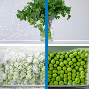 Comparaison en images fractionnées montrant les légumes surgelés à gauche et les pois verts frais à droite, séparés par une ligne verticale bleue.