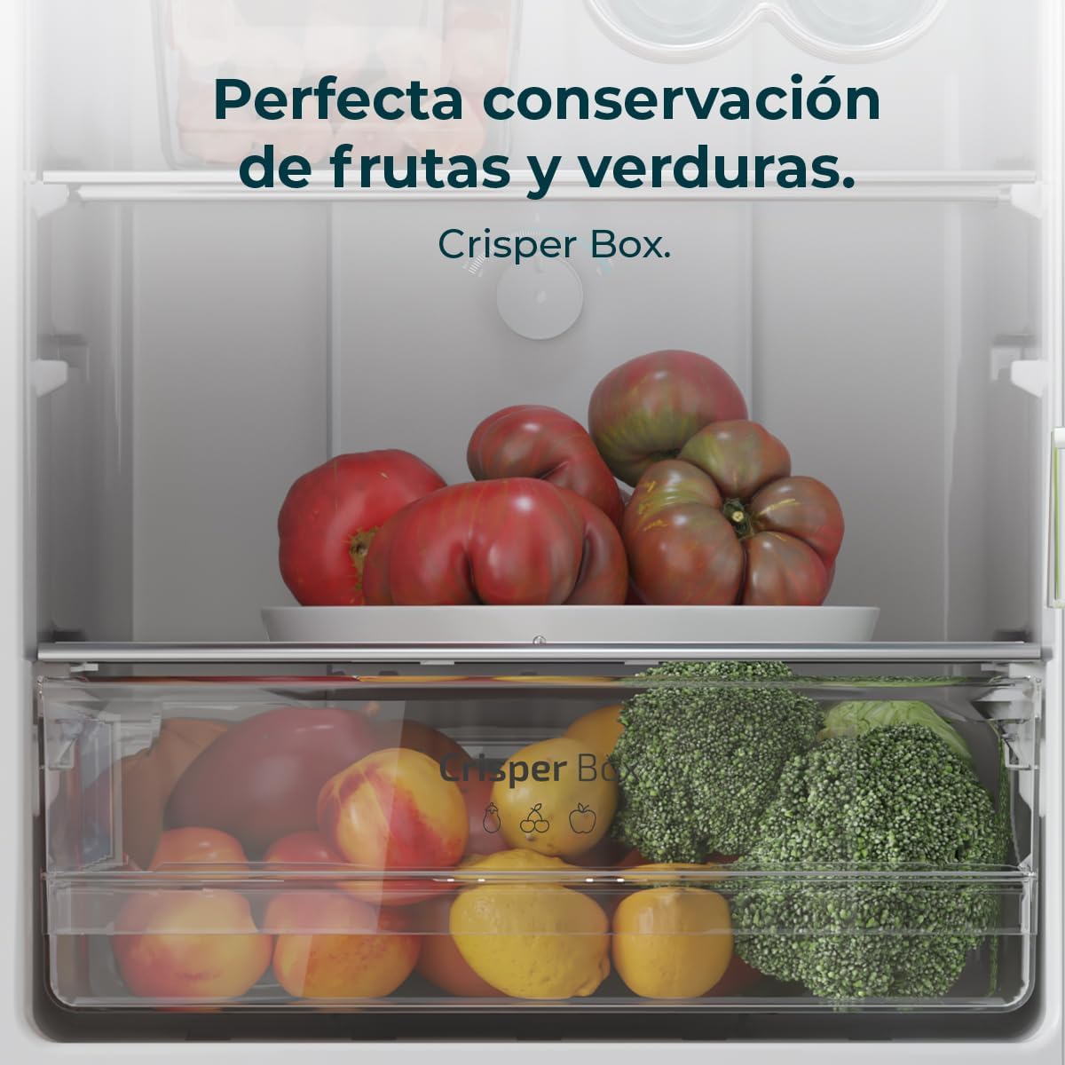 Cecotec - Bolero CoolMarket TT - 133L, LED, classe E, compact TT133L