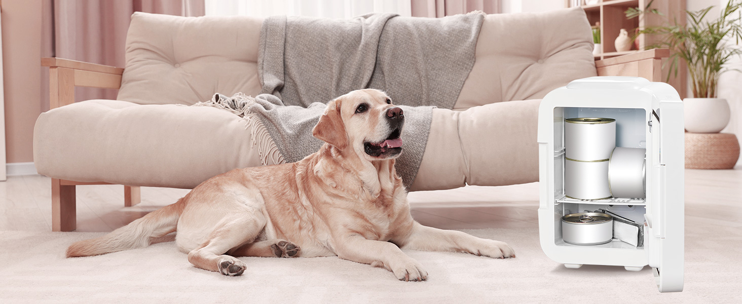 un chien allongé sur le sol à côté d'un canapé.