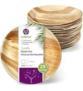 Assiettes Jetables en Feuille de Palmier, 25 Assiettes Rondes de 25 cm pour Barbecues, Pique-niqu...