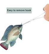 image de contenu aplus