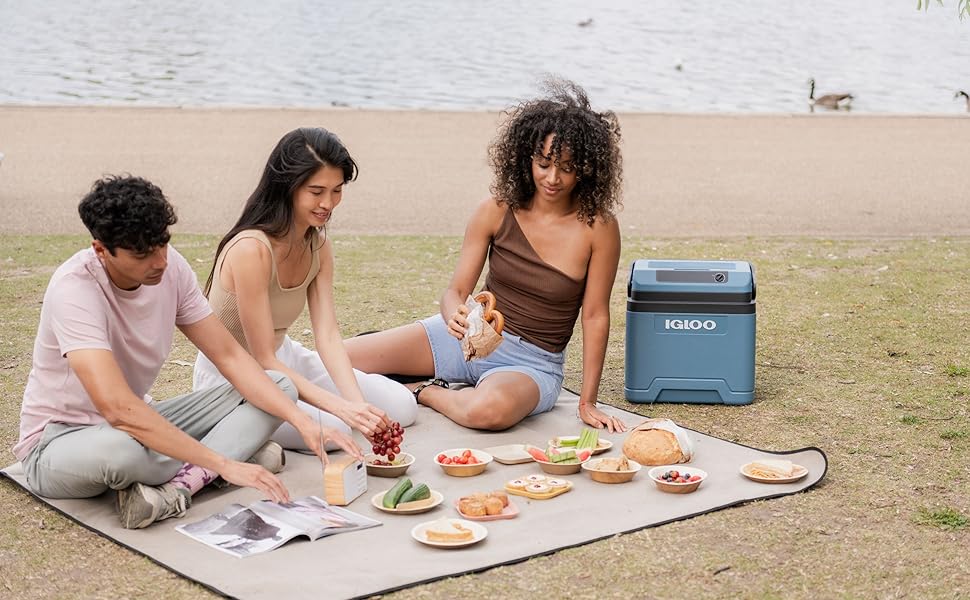 Plusieurs scènes de personnes assises sur des couvertures à l'extérieur, participant à des activités sur une pelouse. Glacière bleue visible en arrière-plan.
