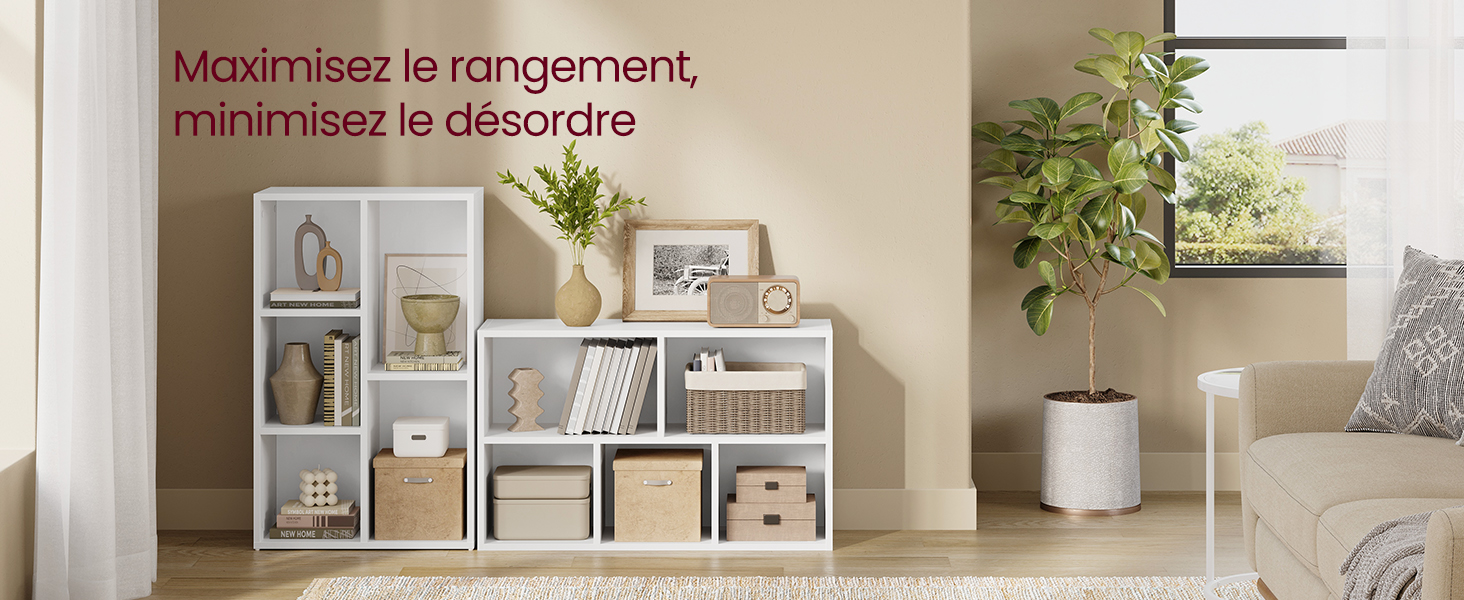 une étagère avec une plante et une photo dessus.