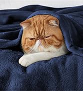 Gros plan d'un chat orange aux oreilles pliées dormant sur une surface en tissu bleu foncé