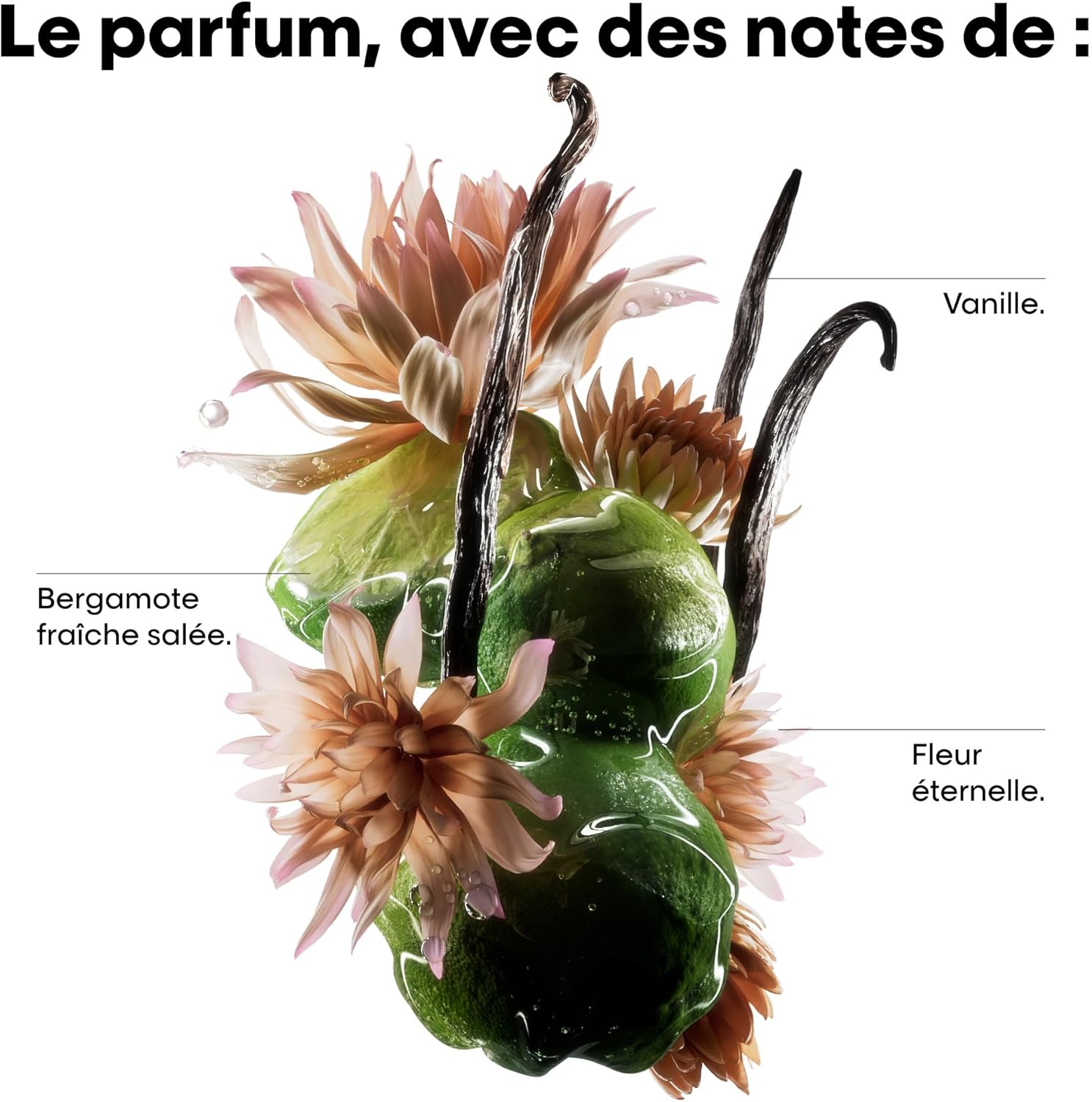 L'Oréal Professionnel - Absolut Repair Molecular - routine réparatrice cheveux abîmés, nourrissant et renforçant