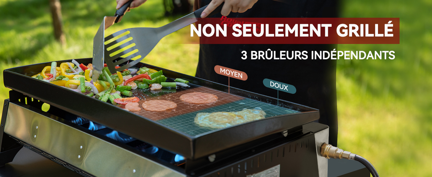 avec trois brûleurs indépendants pour la cuisson de divers aliments. Légumes à gauche, viande au centre, sur une surface en bois avec fond d'herbe.