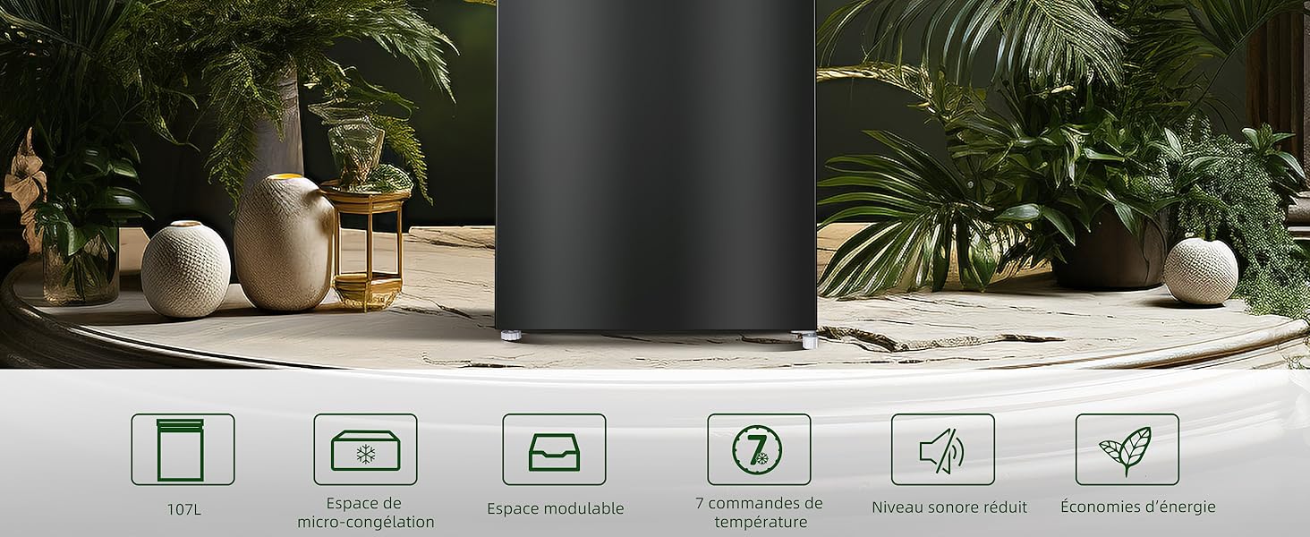 Appareil cylindrique noir entouré de plantes. Six icônes ci-dessous présentent les fonctionnalités suivantes : multiroom, contrôle des applications, commande vocale, Wi-Fi, Bluetooth et économie d'énergie