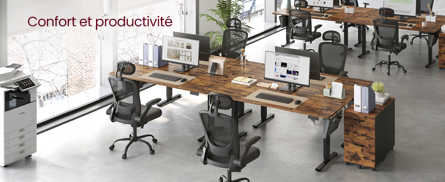 Espace de travail moderne avec bureaux en bois, chaises noires ergonomiques et cadres réglables en hauteur. Plusieurs postes de travail disposés le long de grandes fenêtres avec éclairage naturel
