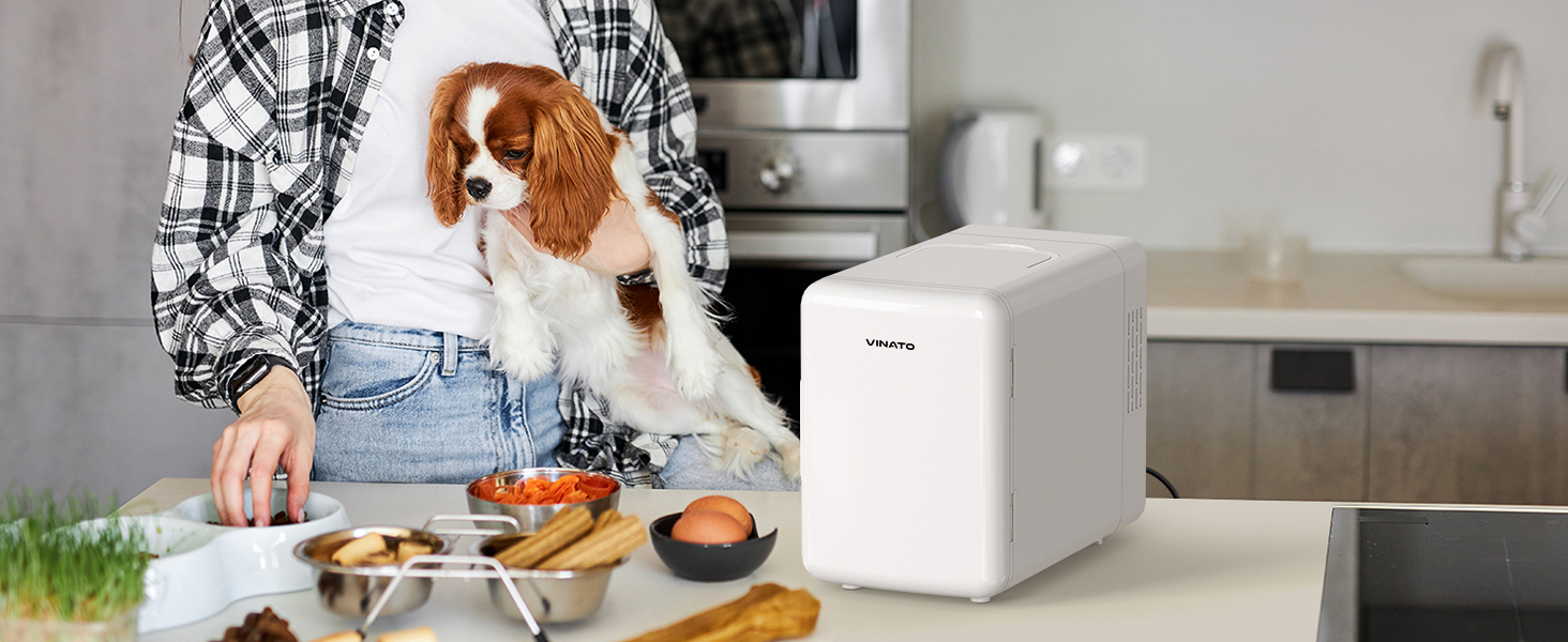 6L Mini Frigo de Chambre