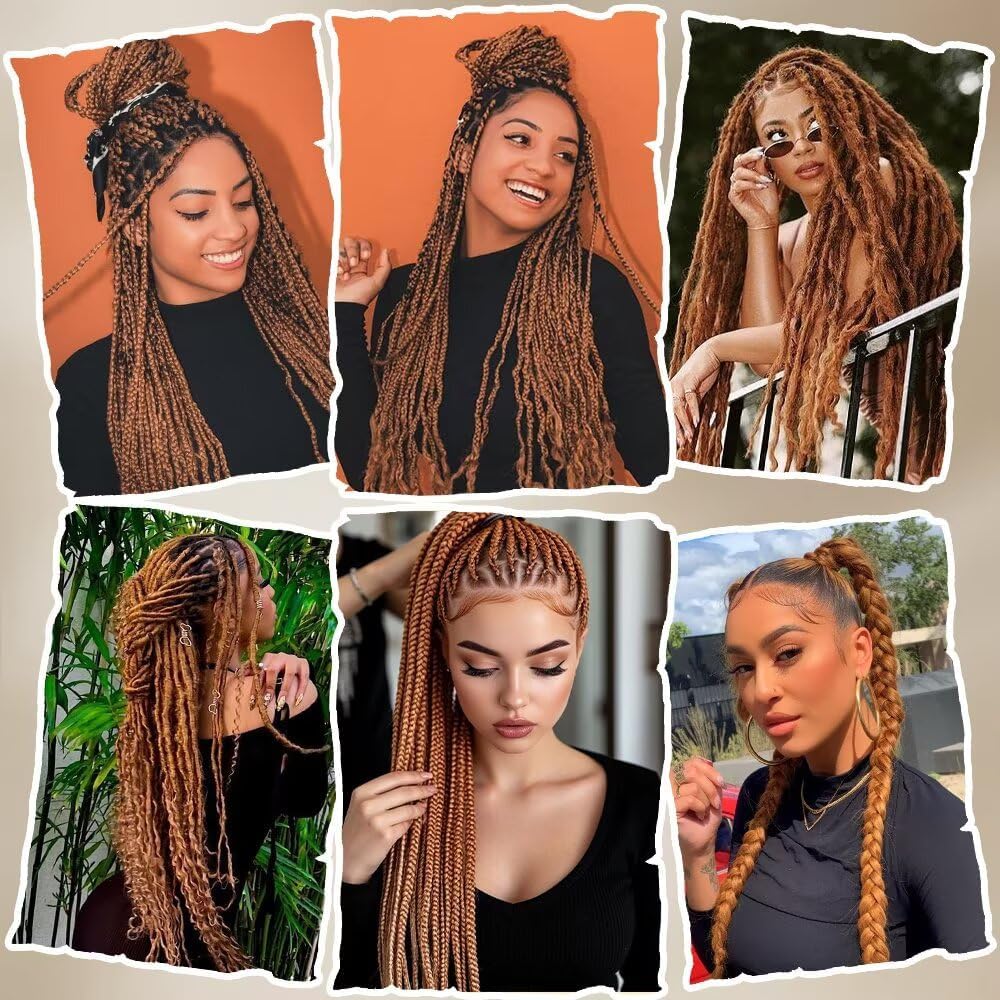 ShowJarlly - Ombre Jumbo Braids 24