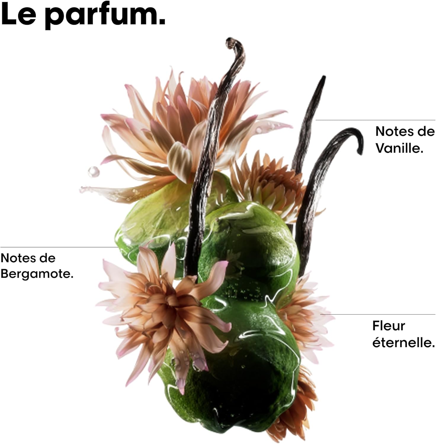 L'Oréal Professionnel - Absolut Repair Molecular - routine réparatrice cheveux abîmés - démêle, renforce, douceur