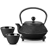 Velaze Ensemble de théière en fonte japonaise traditionnelle en acier inoxydable