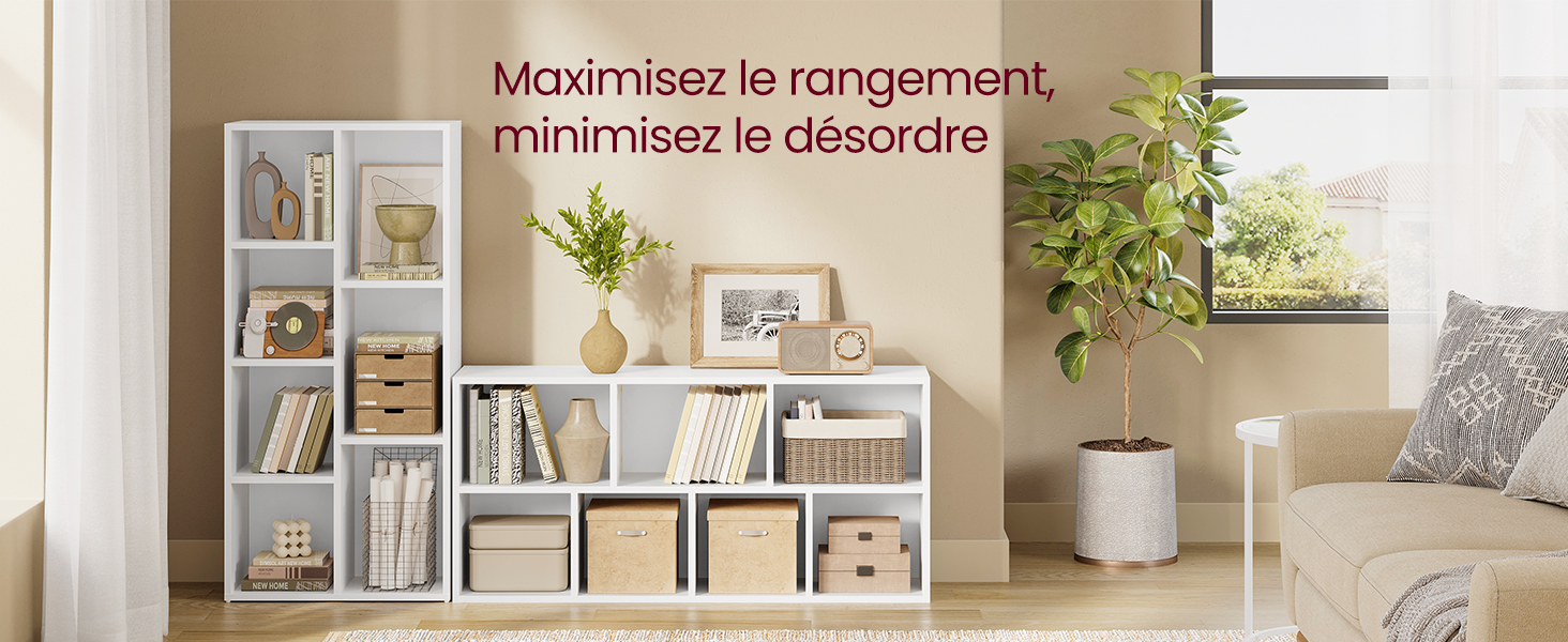 une bibliothèque blanche avec une plante et une plante