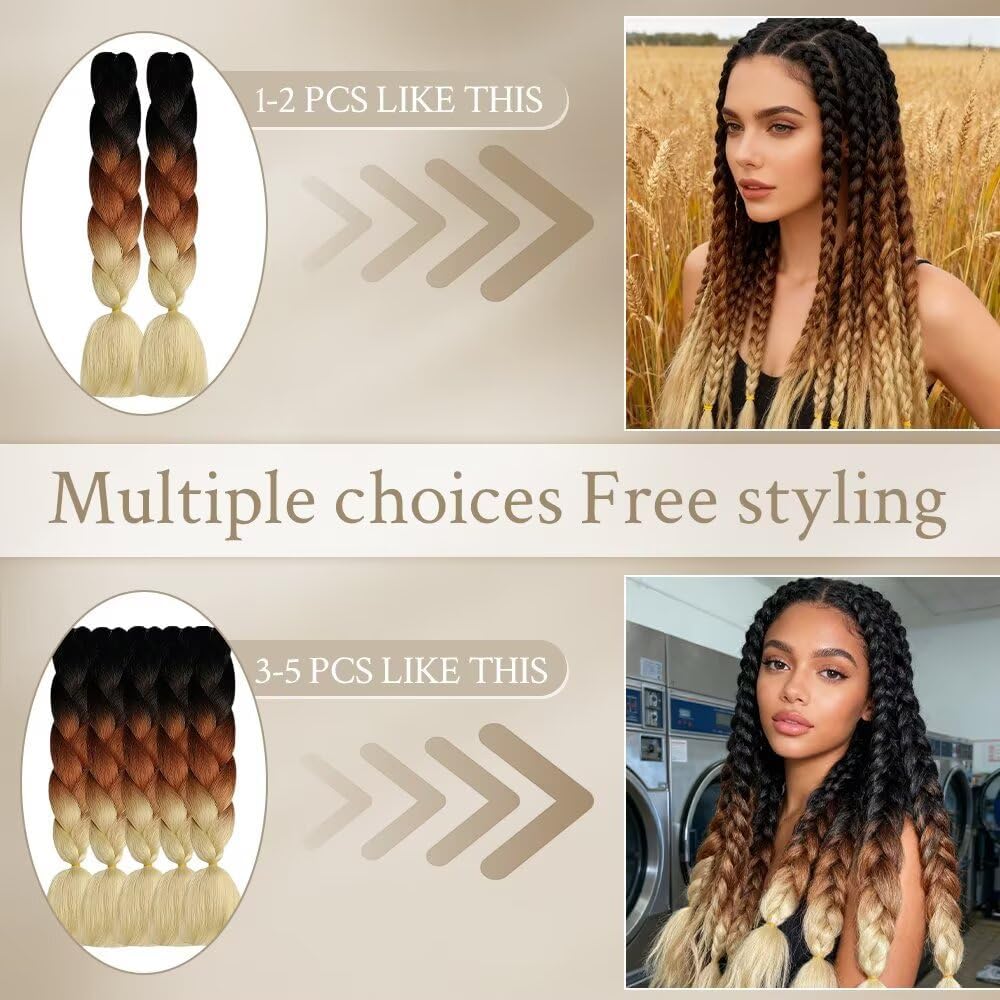 ShowJarlly - Ombre Jumbo Braids 24