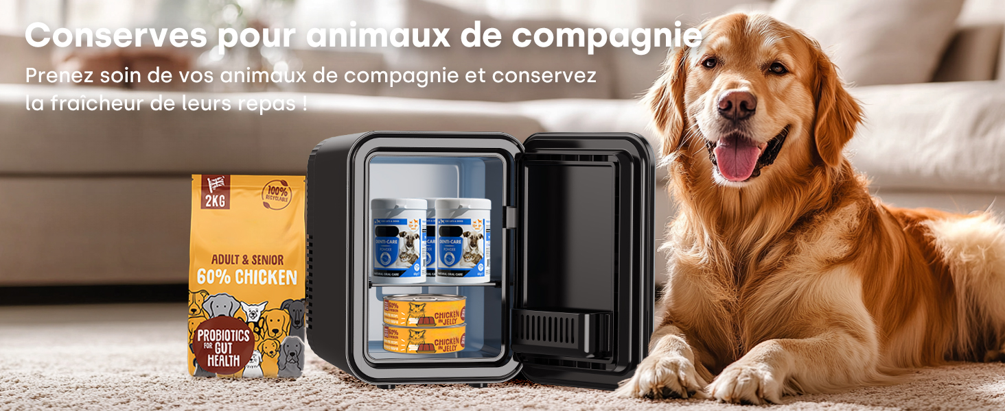 mini frigo de chambre glaciere electrique voiture frigo cosmetique mini refrigerateur mini fridge