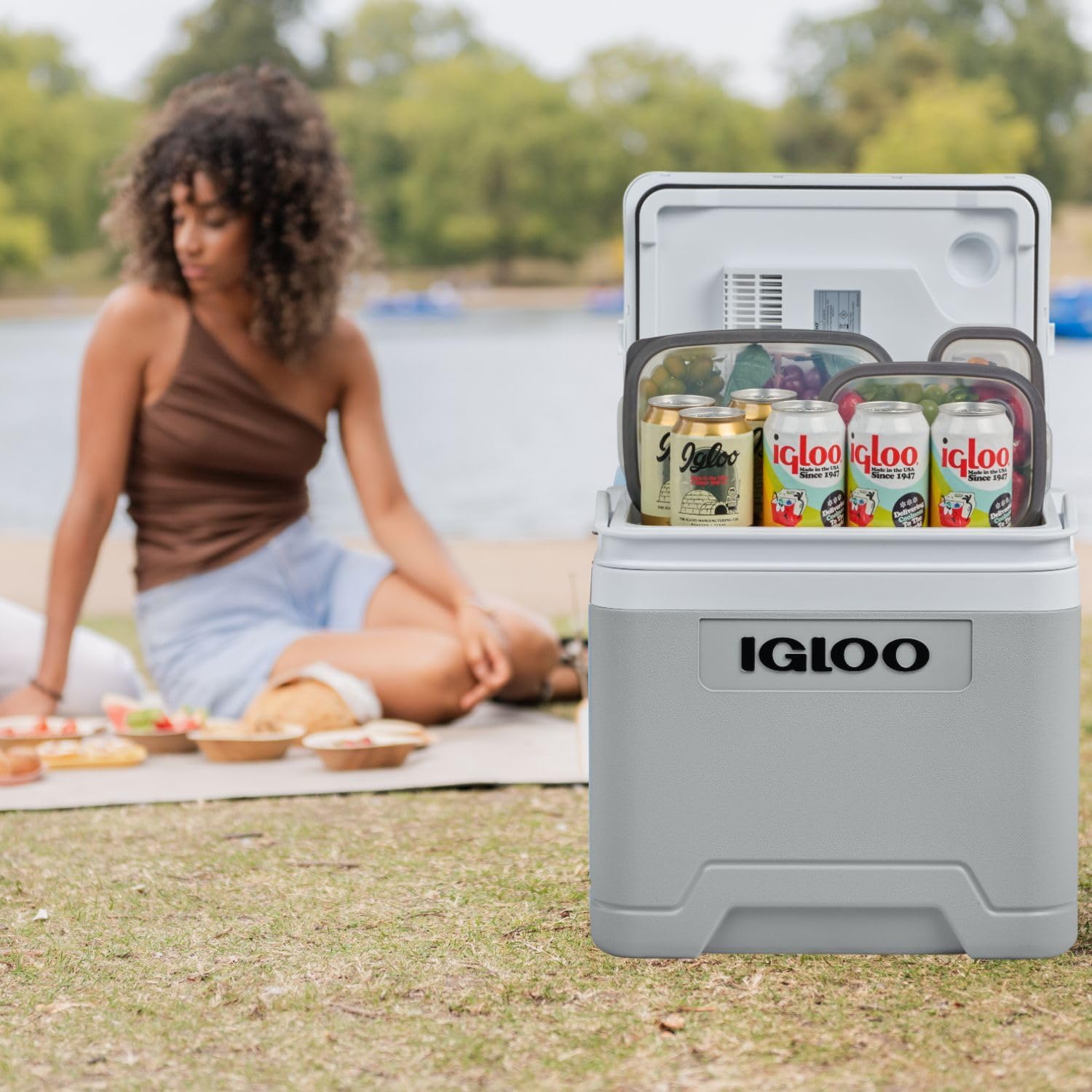 IGLOO - glacière électrique - compacte - maintien au frais et portable