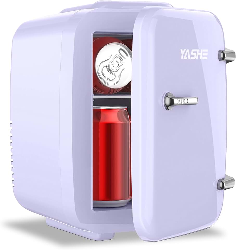 YASHE - Mini réfrigérateur 4L, refroidit et chauffe, 220V/12V, pour bureau, chambre, voiture