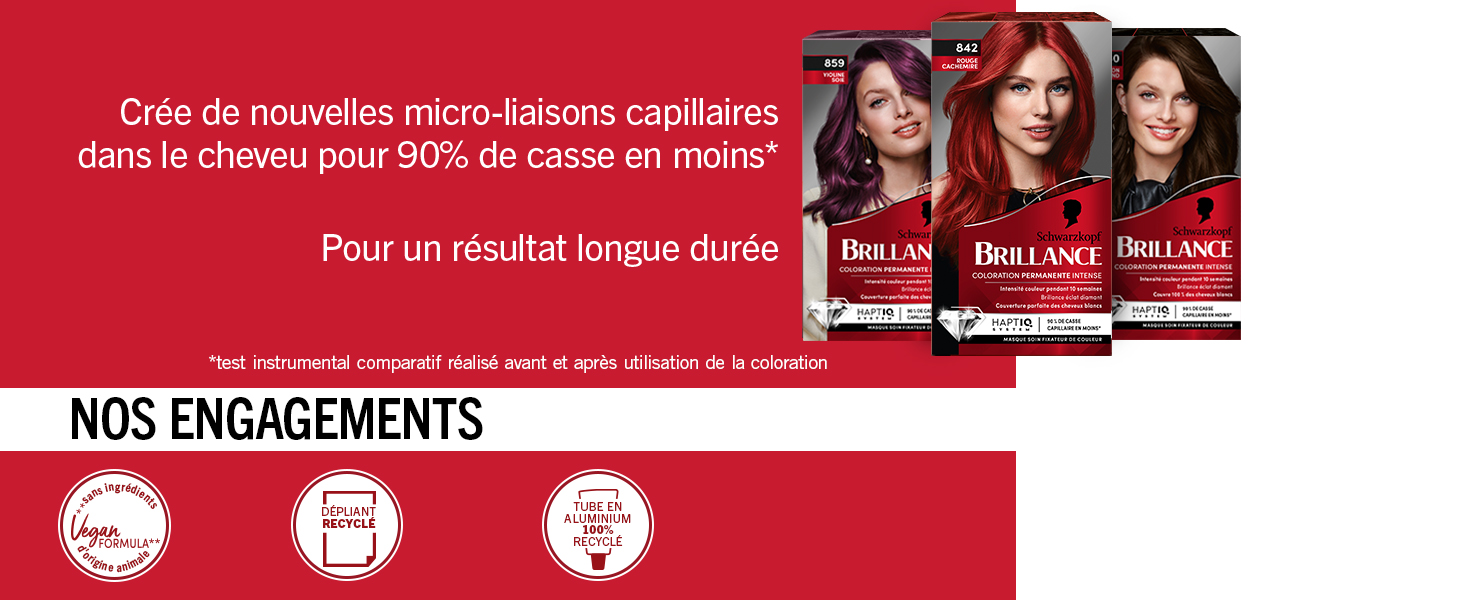 Matériel promotionnel en texte français présentant des éléments de design rouges et noirs avec des informations sur le produit et des instructions d'utilisation.
