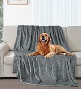 Grande couverture grise en peluche drapée sur un canapé, avec un chien doré posé